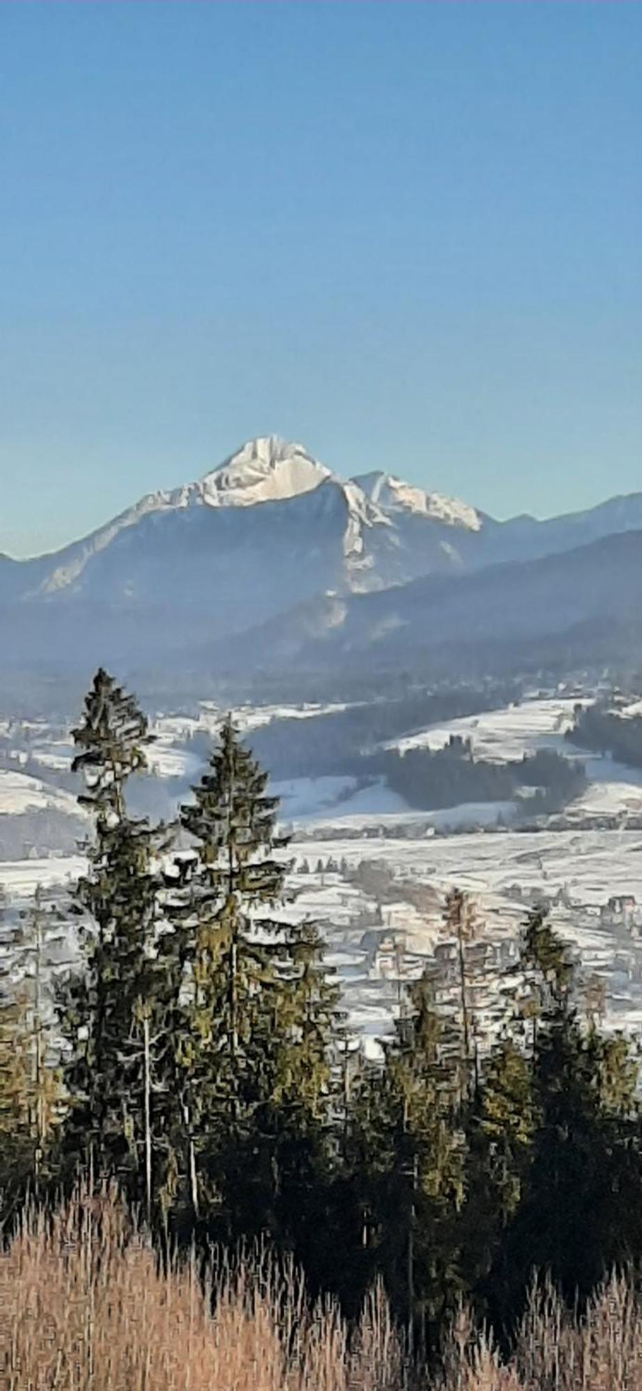 Willa Wygrodzisko Zakopane Luaran gambar